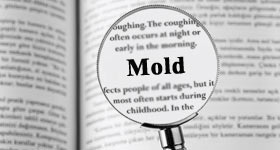 magnifying glass over the word mold