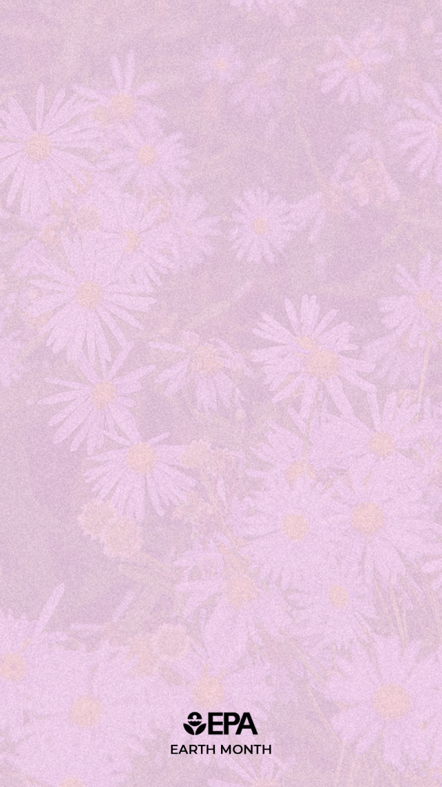 Pink background with flowers for IG stories
