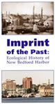 Imprint of the Past cover