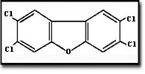 Chemical representation of 2,3,7,8-Tetrachlorodibenzofuran.