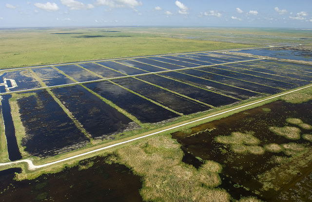 An airborne view of constructed wetlands (called Stormwater Treatment Areas) that are used to remove excess phosphorus from water before discharging into the Everglades.  Photo Credit: South Florida Water Management District  