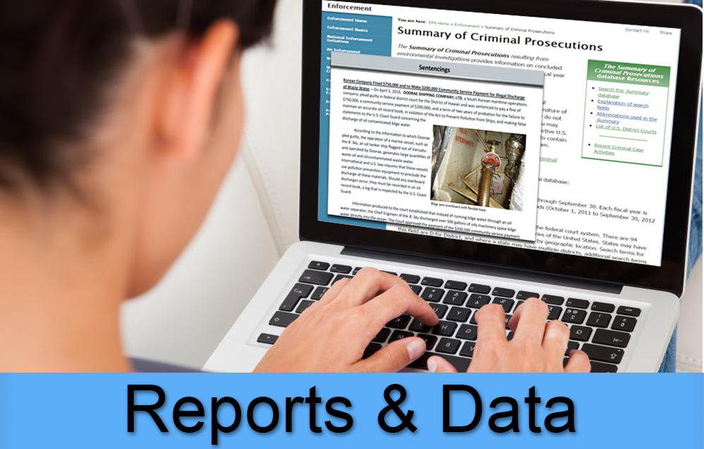 Image of woman at laptop with focus on screen showing various reports