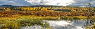 This image is a photo of wetlands, which is one of many EPA water programs we work with tribes on. 