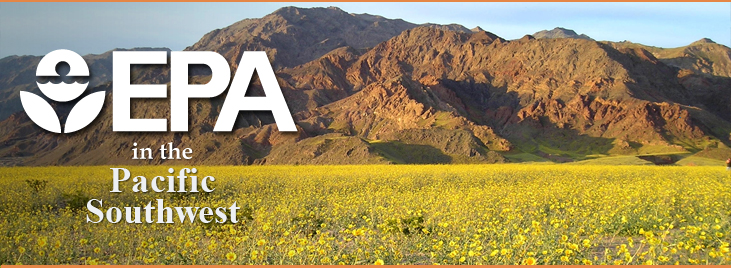 Newsletter Banner: Death Valley National Park - a field of yellow flowers with dry mountain range in background