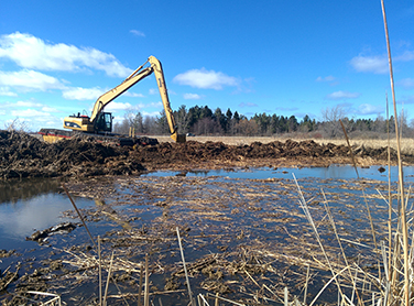 Photo of Wetland Restoration in progress at Braddock Bay