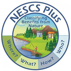A graphic showing an illustration of forest and stream with the letters "N E S C" around the outside edge