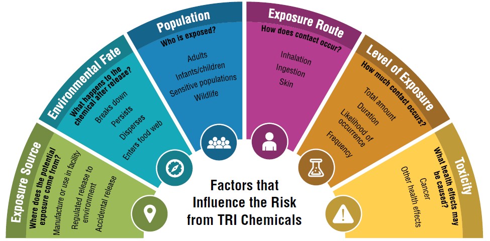 Diagram describing the factors that influence risk: exposure source, environmental fate, population, exposure route, level of exposure, and toxicity.
