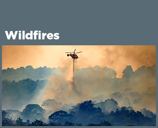 image of wildfire