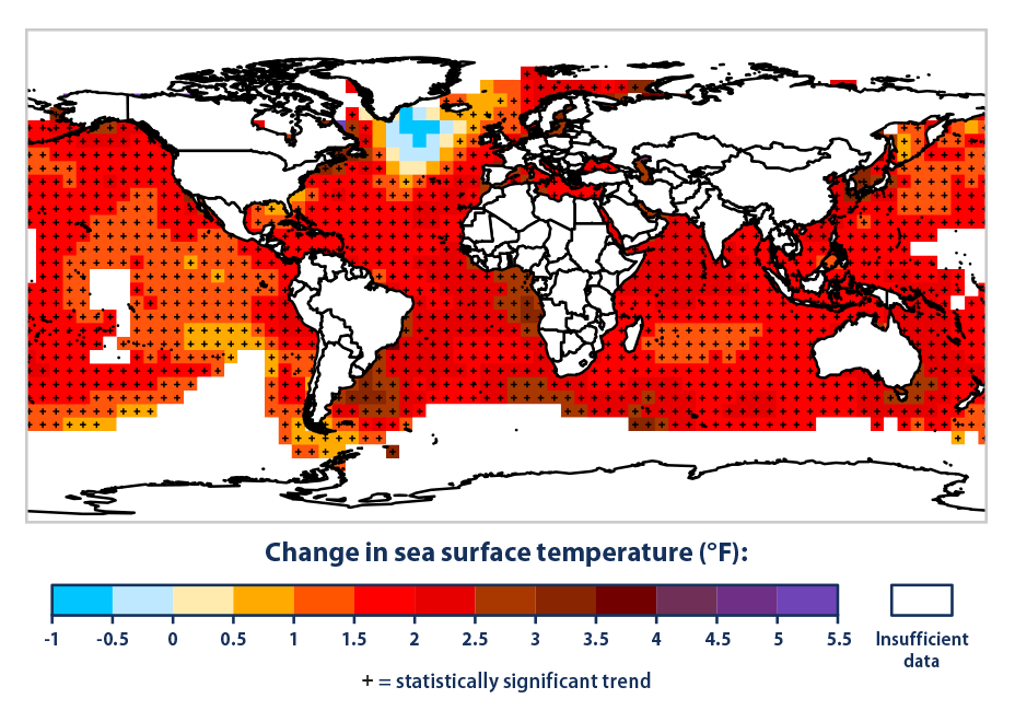 Color-coded map of the world showing changes in average sea surface temperature from 1901 to 2020
