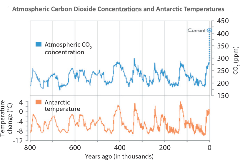 A graph of atmospheric carbon dioxide concentrations.