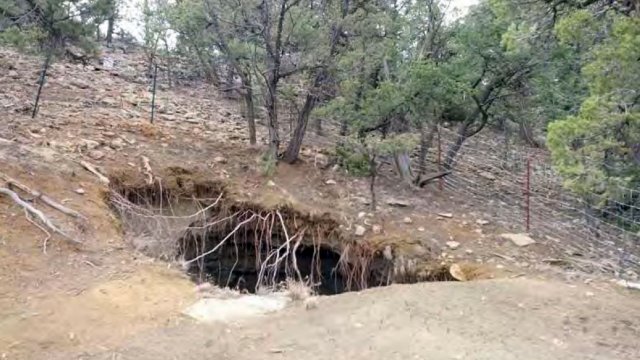 Hillside with fencing surrounding what appears to be a hole in the ground with tree roots covering the entrance of a deep hole, presumably a mine shaft entrance.