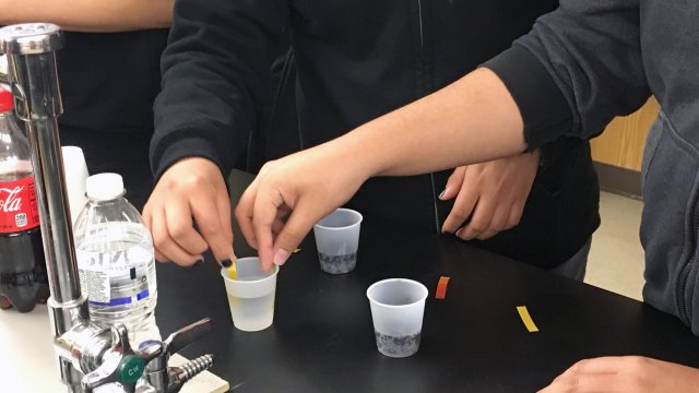 Closeup of students hands holding water sample cups