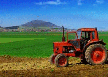 image of tractor in a field 