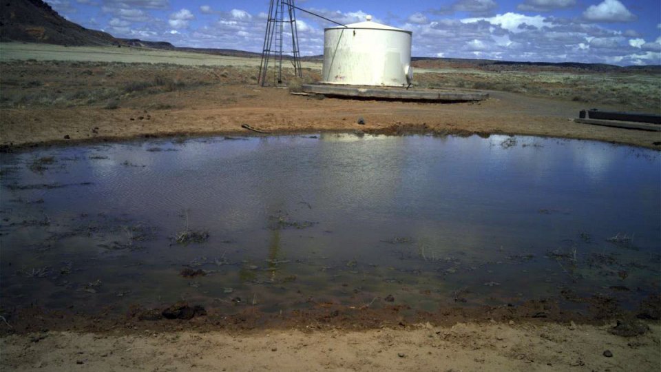 standing water in a pond with water tank in background