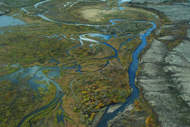 Aerial view of Upper Talarik Creek which flows into Lake Iliamna in the Kvichak River watershed.