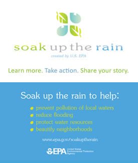 Soak Up the Rain Business Cards (Front and Back)