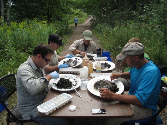 oel ( foreground left) works with an EPA research team and state partners to sort aquatic invertebrates for contaminant analysis at a remediation site.