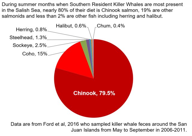 Chart showing Southern Resident Killer Whale diet during summer months in the Salish Sea.