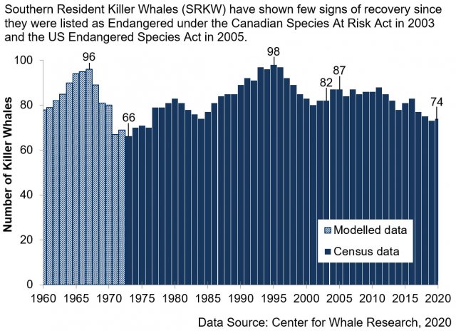 Graph showing number of Southern Resident Killer Whales from 1960-2020.