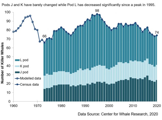 Graph showing number of Southern Resident Killer Whales by pod from 1960-2020.