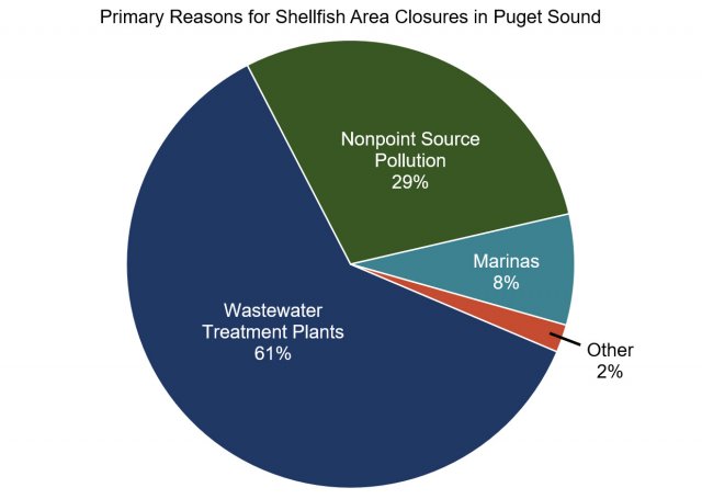 Chart showing the primary reasons for shellfish area closures in Puget Sound (wastewater treatment plants 61%, nonpoint source pollution 29%, marinas 8%, other 2%).