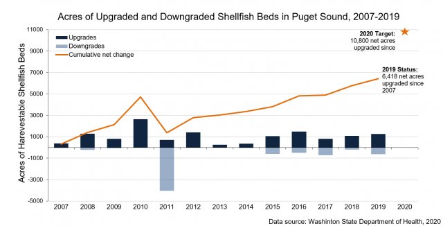 Chart showing acres of upgrade and downgraded shellfish beds in Puget Sound between 2007-2019.