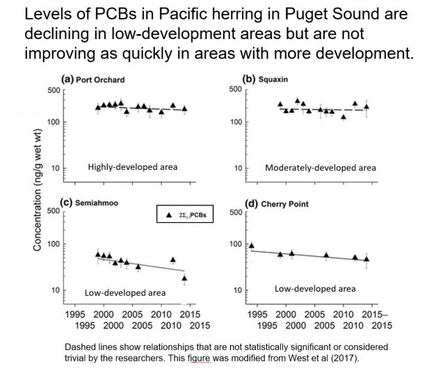 Charts showing declining levels of PCBs in Pacific herring in Puget Sound between 1995-2015.