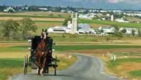 Amish horse and buggy traveling along a country road with a farm in the distance