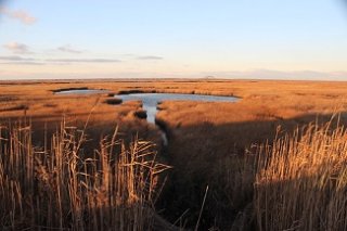 This photo was taken looking across the wetlands of Captree Island, Long Island, New York.