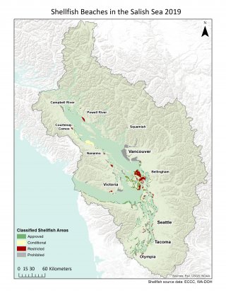 Map of shellfish closure and restricted areas in the Salish Sea (as of 2019).