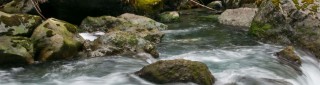 A stream flowing around rocks.