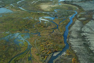 Aerial photograph of a river delta.