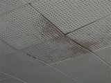 acoustic ceiling tiles with water damage