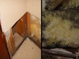 Looking for mold in wall cavities by removing a section of drywall.