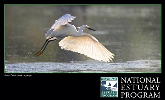 Cover of the National Estuary Program Booklet
