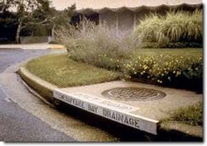 Sources and Solutions: Stormwater | Nutrient Pollution ...