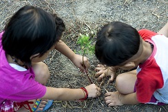 Two young children with their hands in the soil