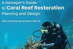 Coral Reef Restoration report cover