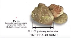 A size comparison of fine particulate matter (PM2.5) and fine beach sand. PM2.5 is less than 2.5 microns in diameter, while fine beach sand is 90 microns in diameter.
