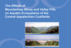 Effects of Mountaintop Mines and Valley Fills on Aquatic Ecosystems report cover