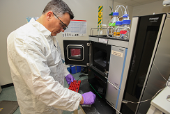A scientist preparing an assay for testing