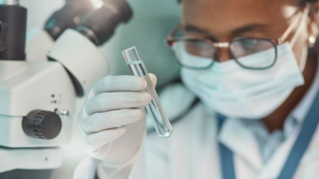 scientist examines sample 
