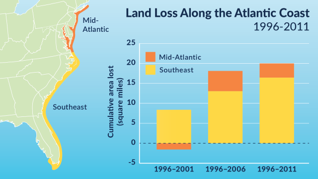 Graph showing increasing land loss in recent years in both the mid-atlantic and southeastern coasts of the United States.