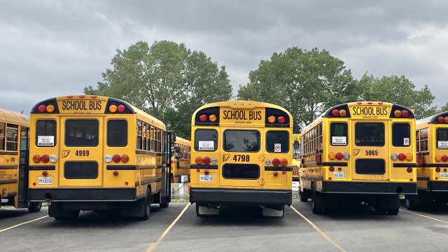 parking lot of school buses
