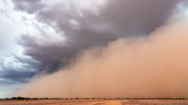 Desert dust storm