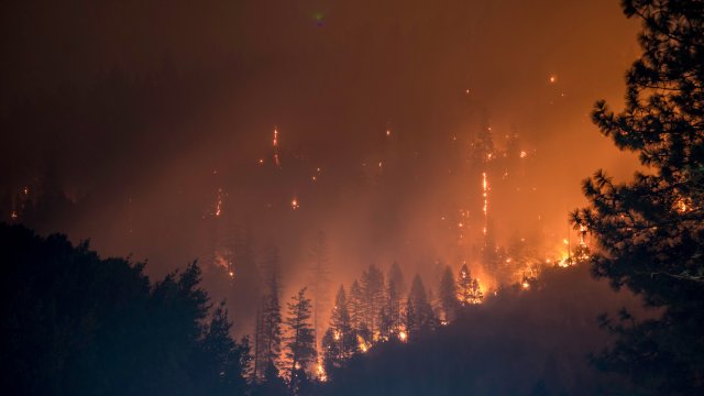 Nighttime view of wildfire burning a deep orange color