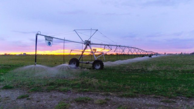 An irrigation machine waters a large crop