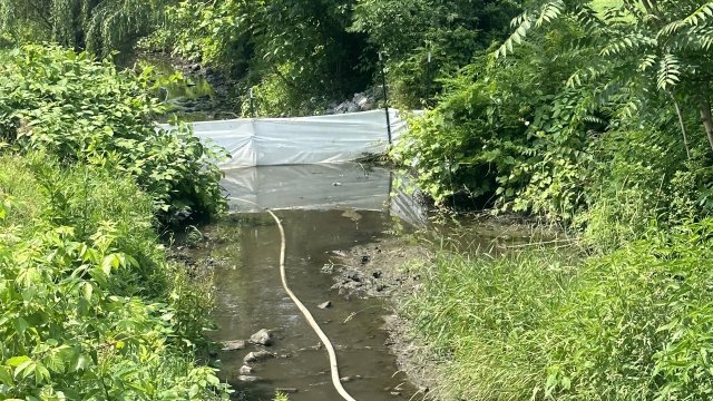 Plastic curtains are placed downstream in Sulphur Run