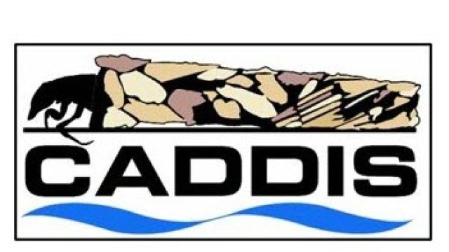 CADDIS Logo with caddisfly image.