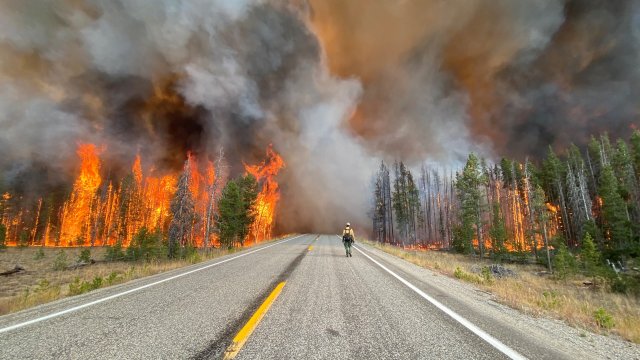 Fireman walking along an empty road surrounded by wildfire.